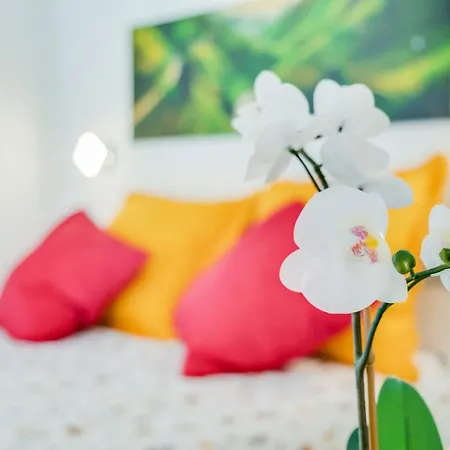 El Rincon ヴィラ *