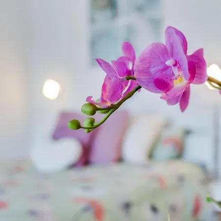 ヴィラ El Rincon *